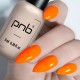 Гел лак PNB 8 мл 033